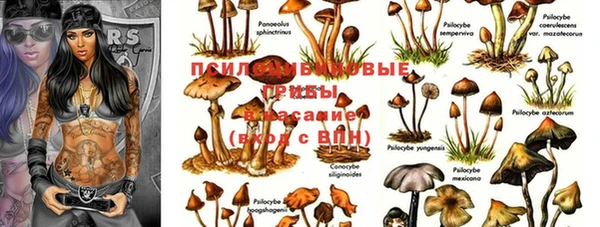 скорость Алексеевка