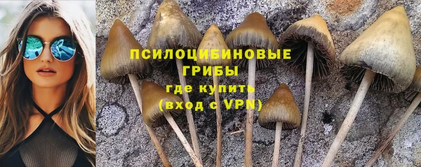 скорость Алексеевка