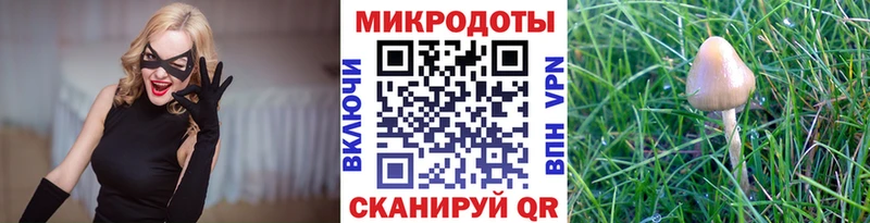 закладка  Апатиты  Галлюциногенные грибы мухоморы 